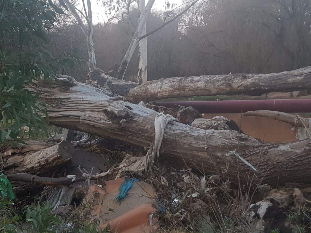 IMG-20170824-WA0006 - Copy