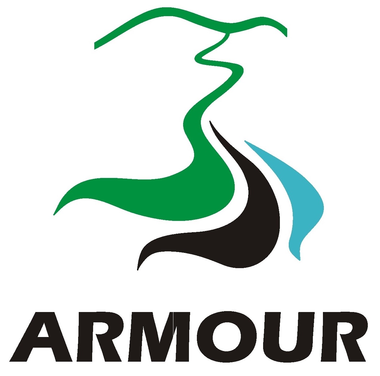 Rivers ARMOUR logo