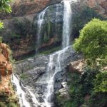 Waterafll-WS-Botancial-Gardens-Tripadvisor